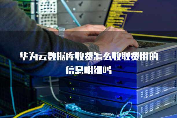 大數(shù)據(jù)服務(wù)收費(fèi)明細(xì)解析 數(shù)據(jù)處理與存儲支持